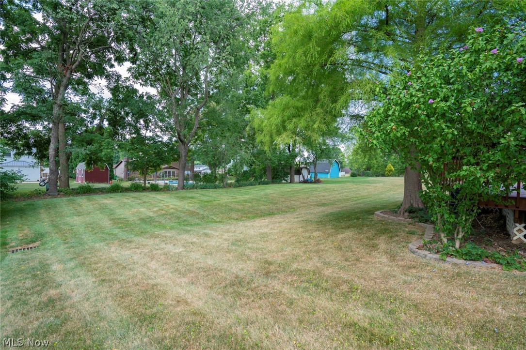 View of Backyard