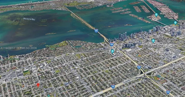 a garden with plants and palm trees