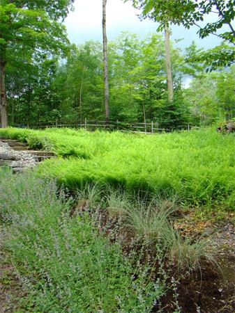 755 Main Road Granville, MA 01034 - Photo 29 of 30 Gallery Image 29