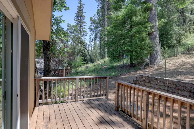 a view of a forest filled with trees