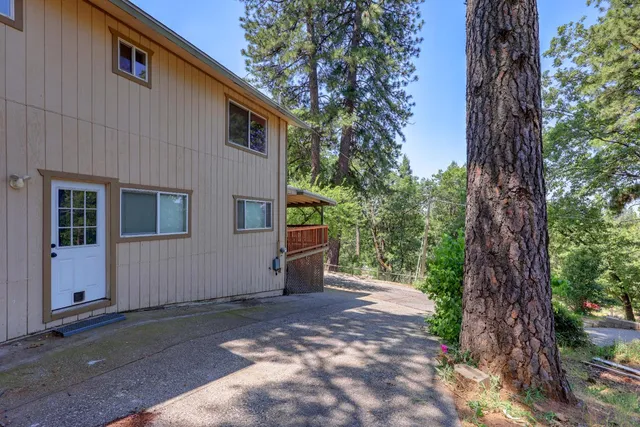 a front view of a house with a yard and large trees