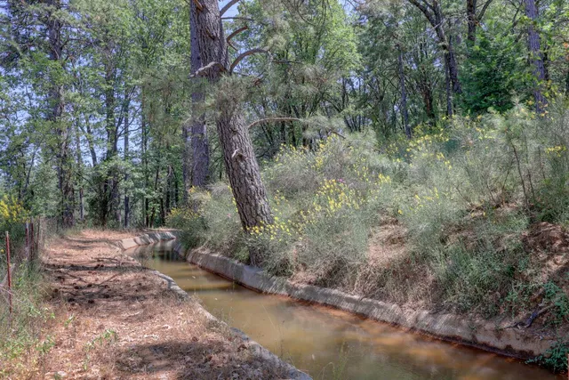 a view of a yard with a tree