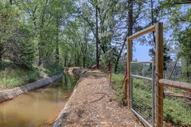 a view of a forest with trees