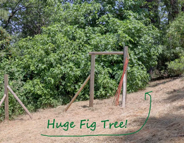 $540,000 | 895 Sunray Lane, Colfax, CA 95713