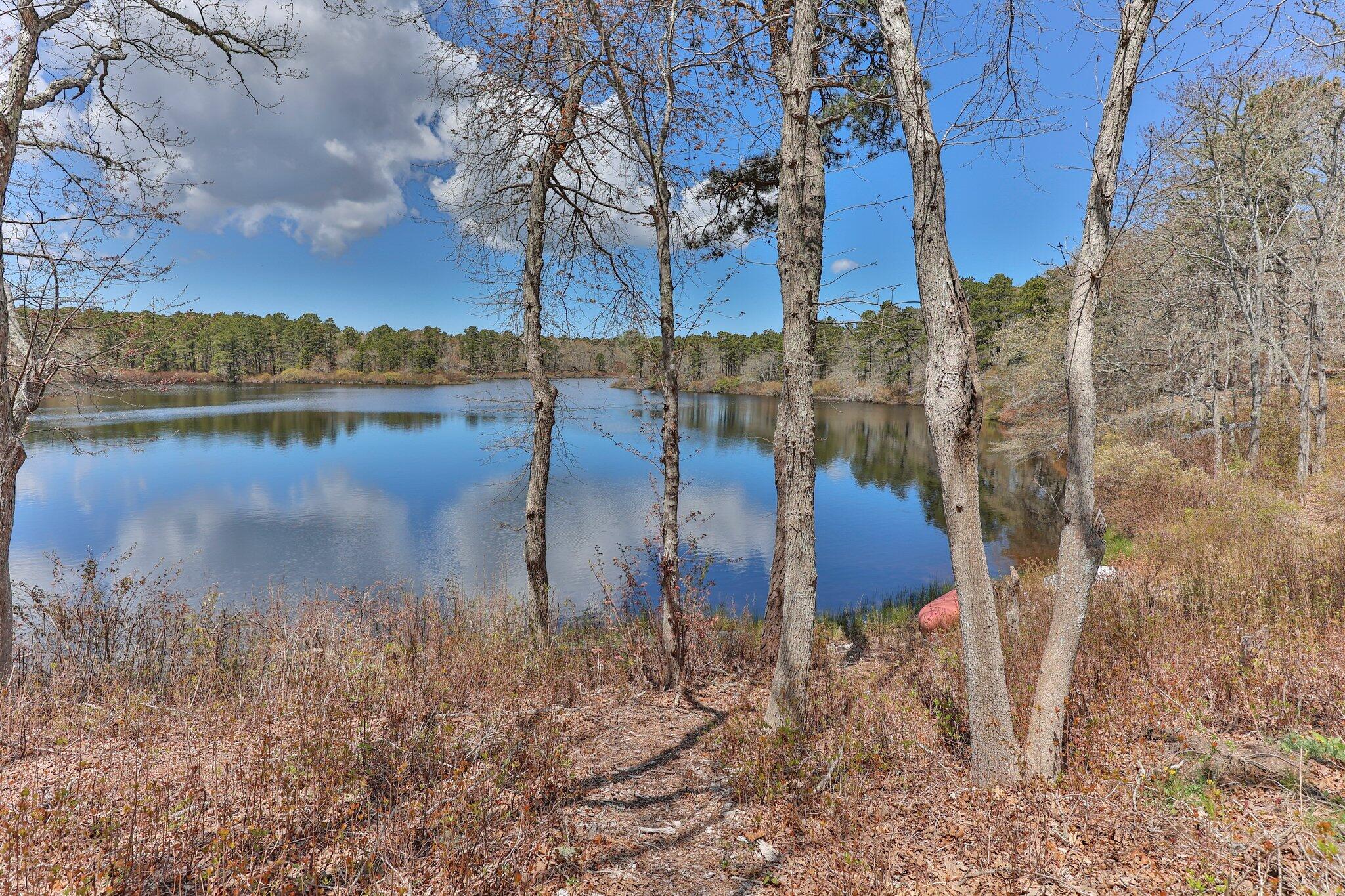 5 Eldridge Pond Road Harwich, MA 02645 - Photo 45 of 67 53-web-or-mls-5-eldridge-pond-rd