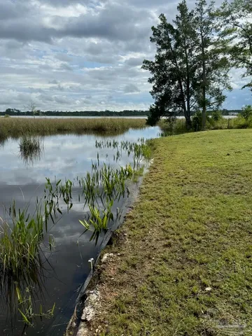 a view of a lake with a tree next to a lake