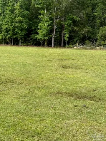 a view of a field with a tree