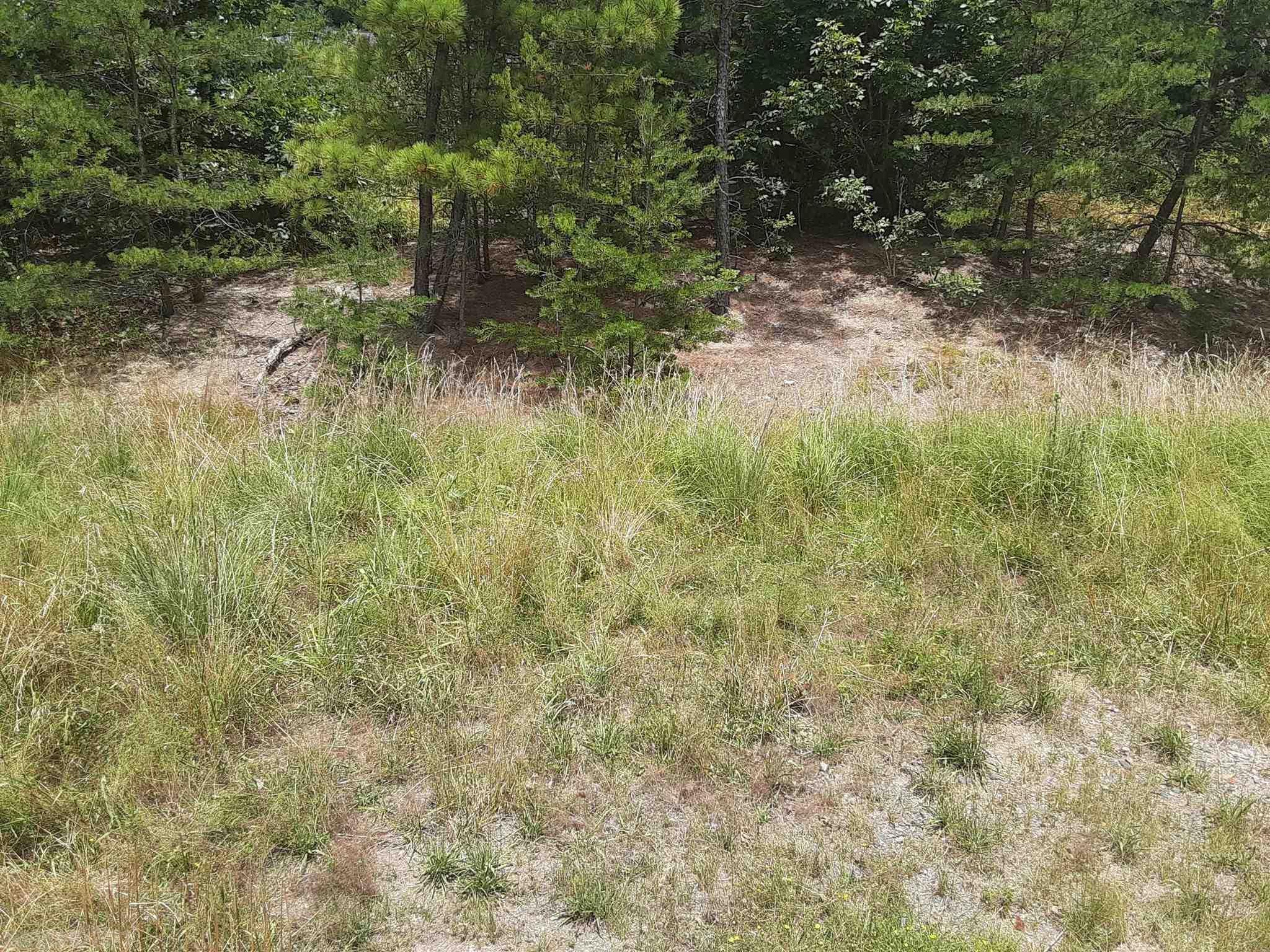 906 East Rock Road Radford, VA 24141 - Photo 3 of 10 Gallery Image 3