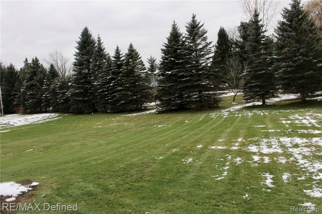 4468 Havens Road Dryden, MI 48428 - Photo 25 of 26 Beautiful mature trees!