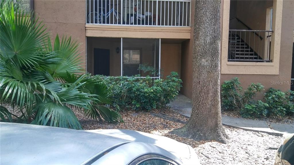 a view of backyard with plants and palm tree