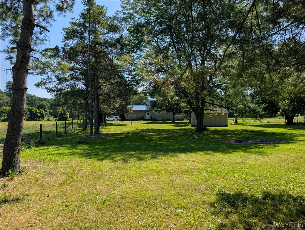 3402 Fruit Avenue Ridgeway, NY 14103 - Photo 45 of 50