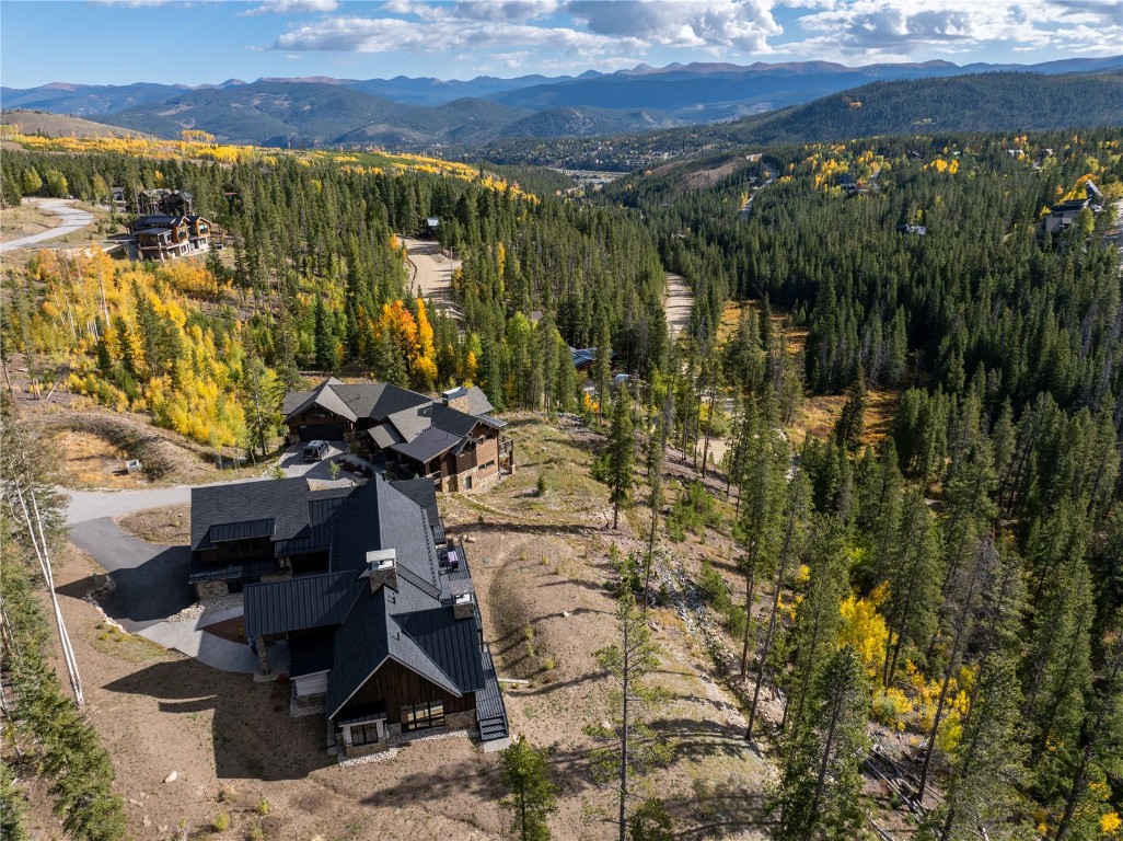 207 Barton Ridge Drive Breckenridge, CO 80424 - Photo 46 of 50 a view of yard with mountain view