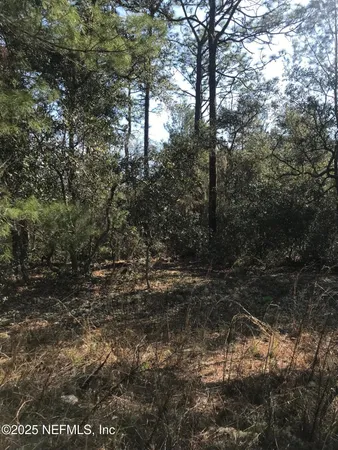 $9,500 | 404 Mourning Dove Road, Satsuma, FL 32189