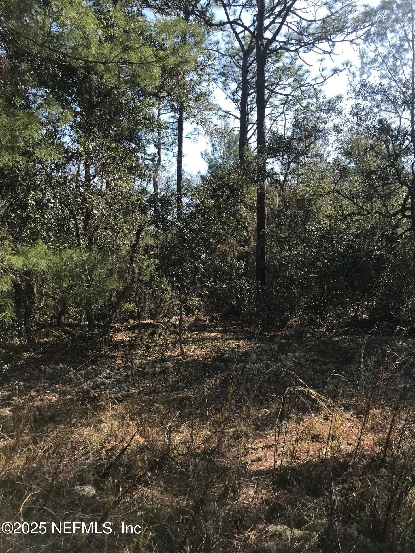 404 Mourning Dove Road Satsuma, FL 32189 - Photo 1 of 9 Photo2