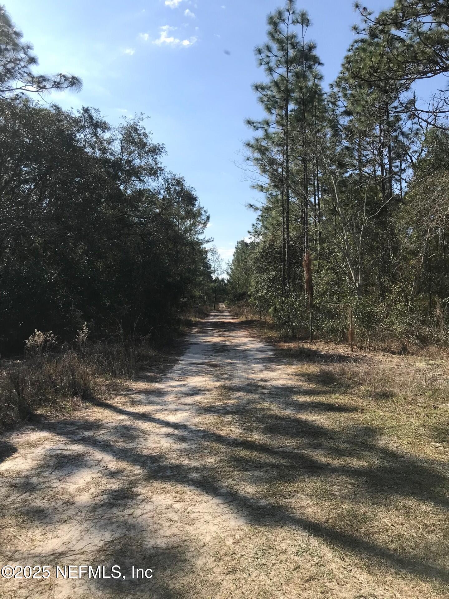 404 Mourning Dove Road Satsuma, FL 32189 - Photo 2 of 9 MourningDoveRd2