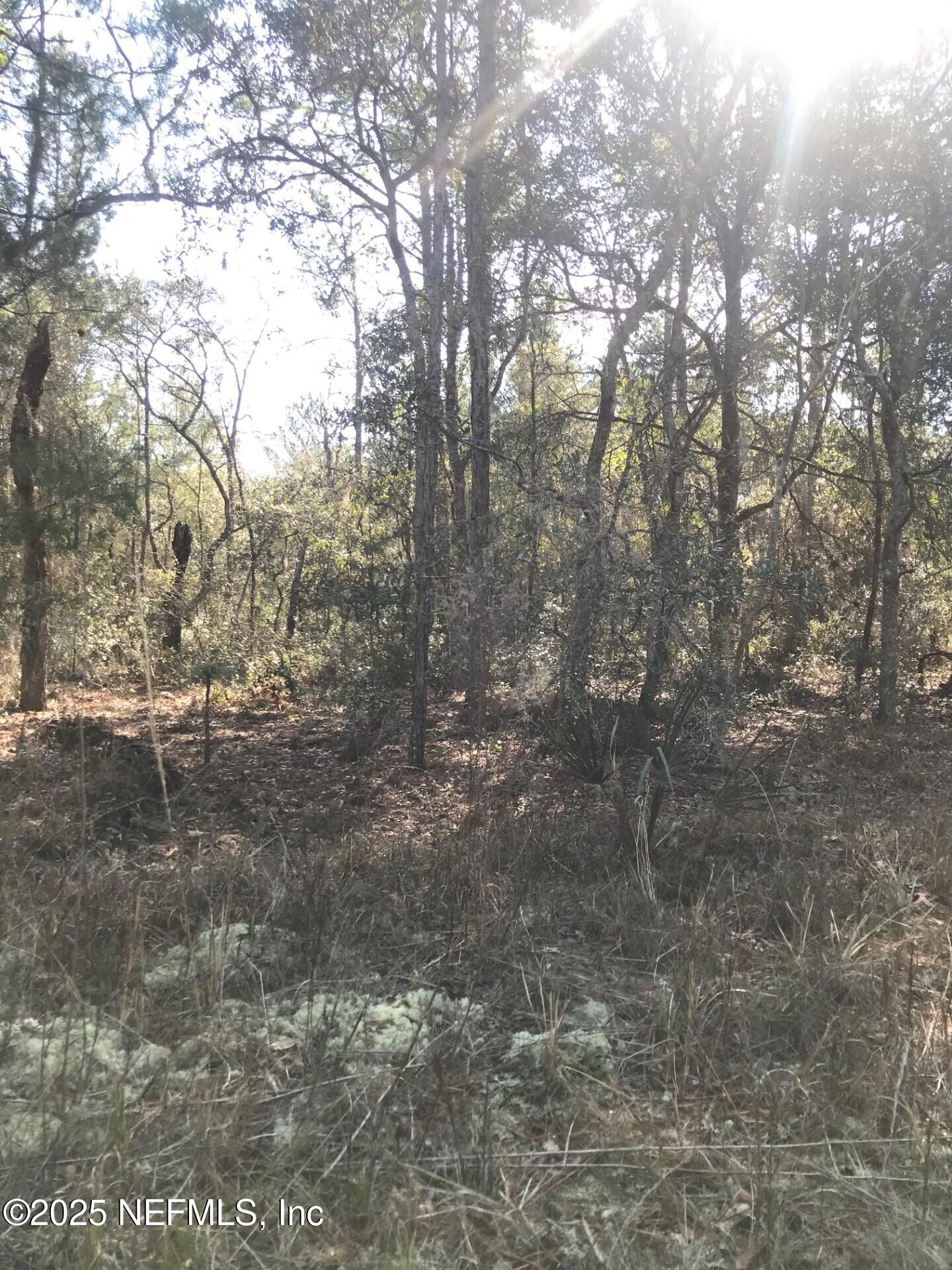 404 Mourning Dove Road Satsuma, FL 32189 - Photo 4 of 9 Photo1