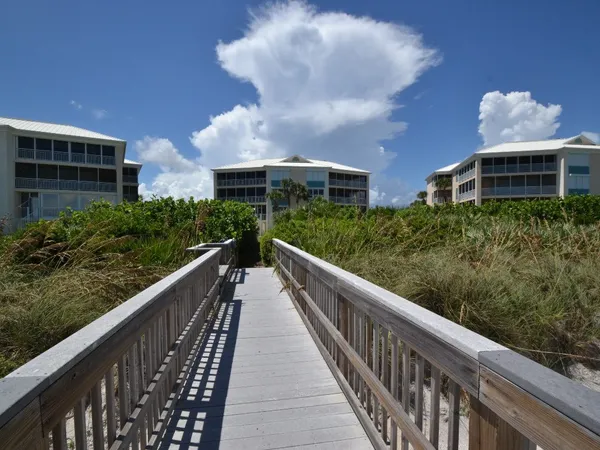 a view of an ocean from a yard