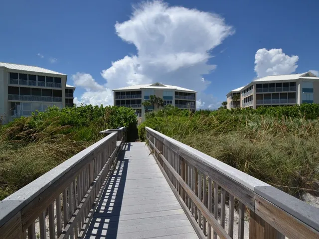 a view of an ocean from a yard