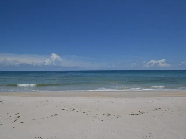 a view of a swimming pool and lounge chair