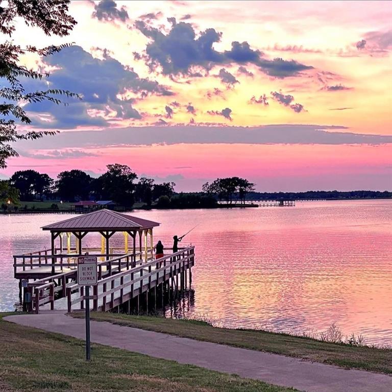 750 Waterfront Row Quitman, TX 75783 - Photo 28 of 32 a view of outside view and ocean view