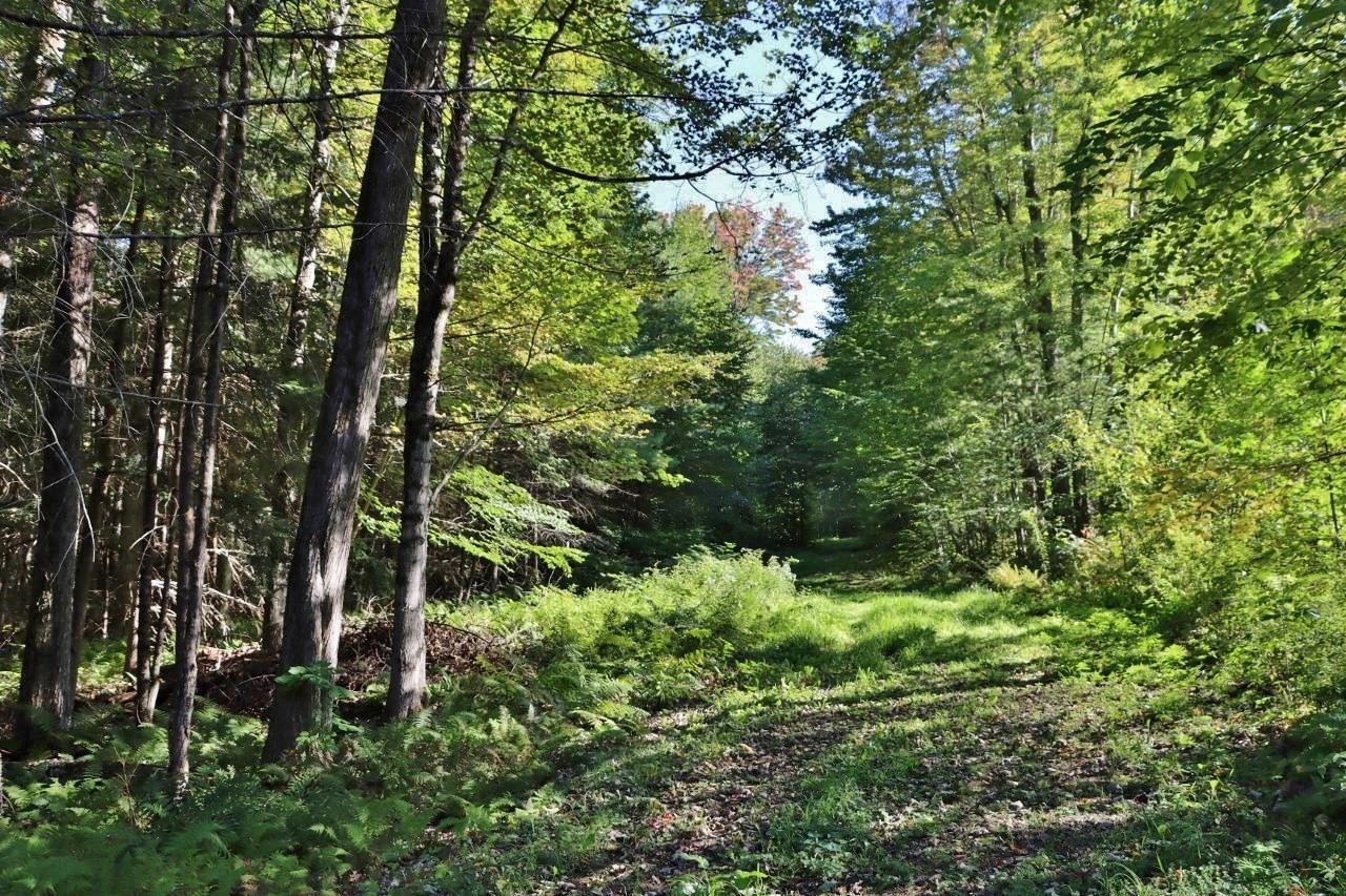 Elmshorn Road Chester, VT 05143 - Photo 1 of 5
