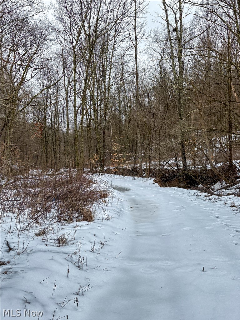 0 Tract 4 Twp Road Woodsfield, OH 43793 - Photo 19 of 34