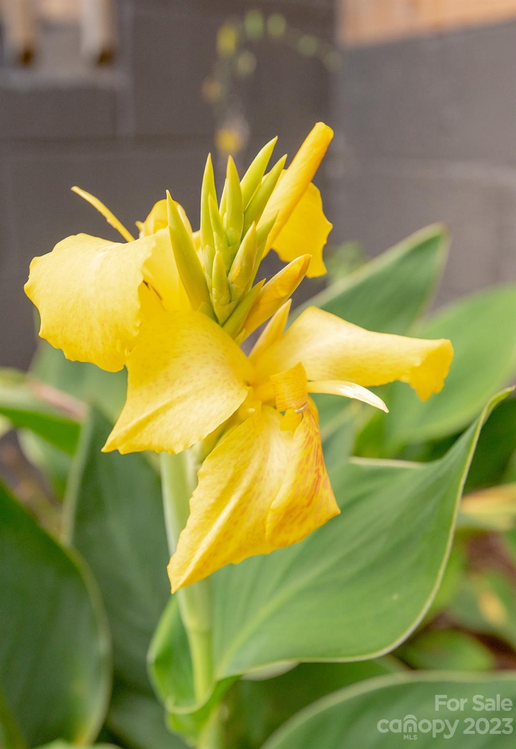 653 Sand Hill Road Asheville, NC 28806 - Photo 23 of 27 a view of a swimming pool