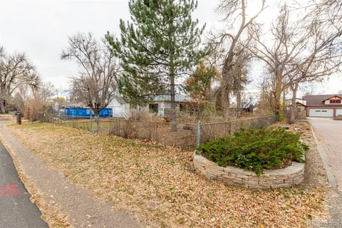 a view of a yard with trees