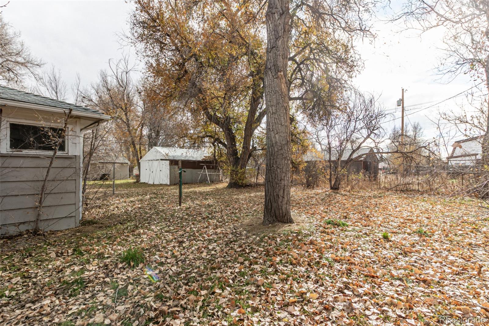 10480 West 47th Avenue Wheat Ridge, CO 80033 - Photo 25 of 29 a backyard of a house with lots of green space