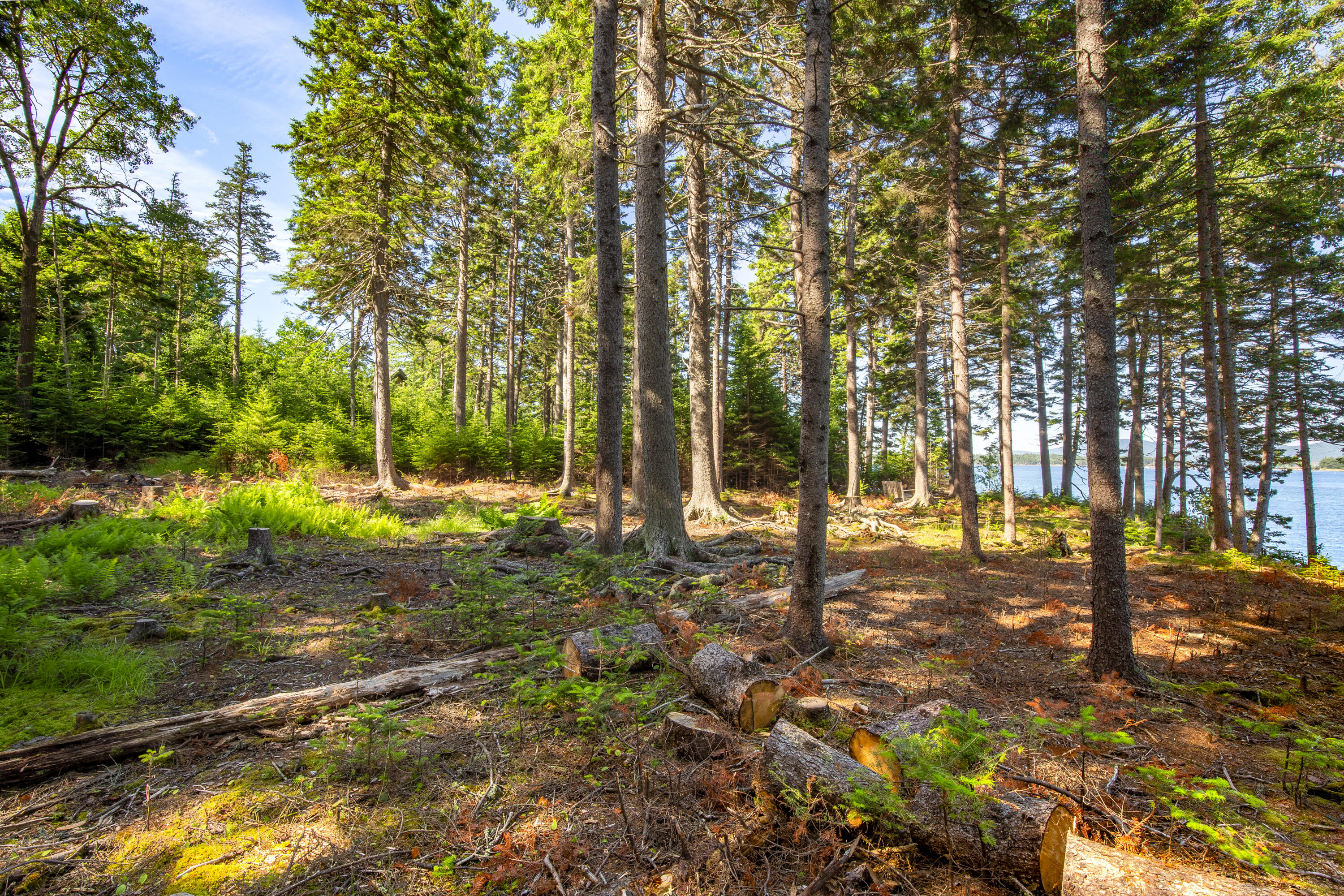 M15-l20-tbd Golf Club Road Islesboro, ME 04848 - Photo 20 of 41