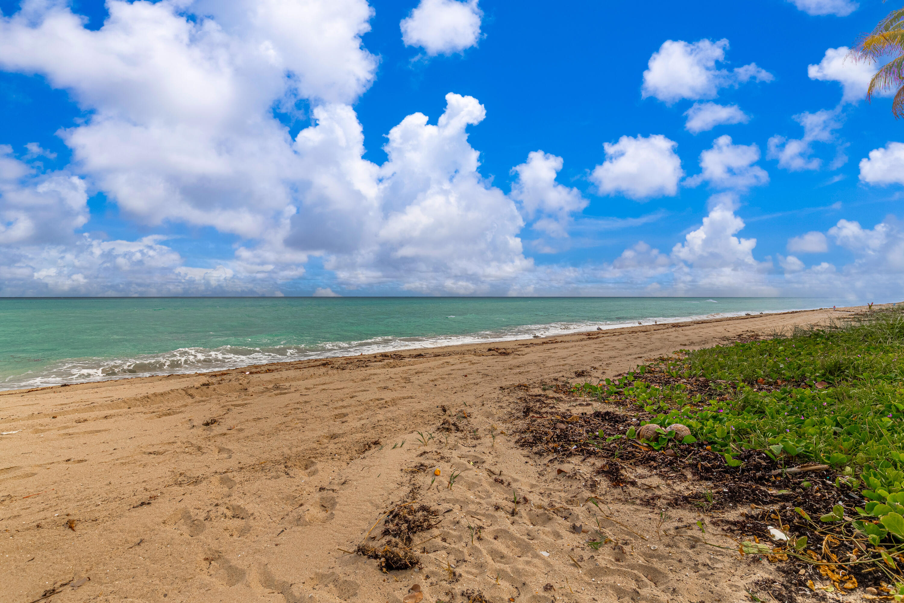 3475 South Ocean Boulevard, Unit 201 Palm Beach, FL 33480 - Photo 23 of 28 a view of a big yard with lots of green space