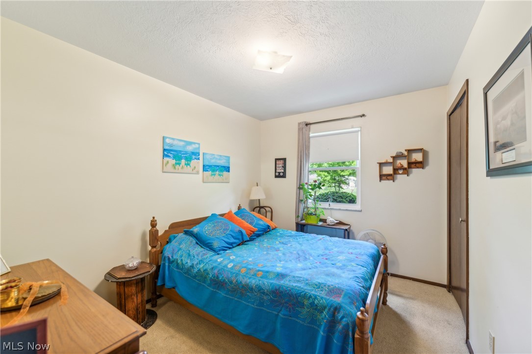9524 Crow Road Litchfield, OH 44253 - Photo 27 of 34 Gallery Image 27