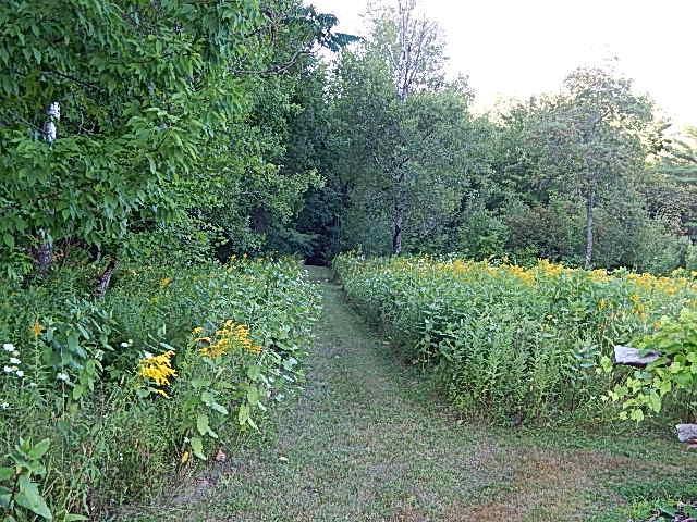 60 Church Road Bucksport, ME 04416 - Photo 33 of 34 Photo