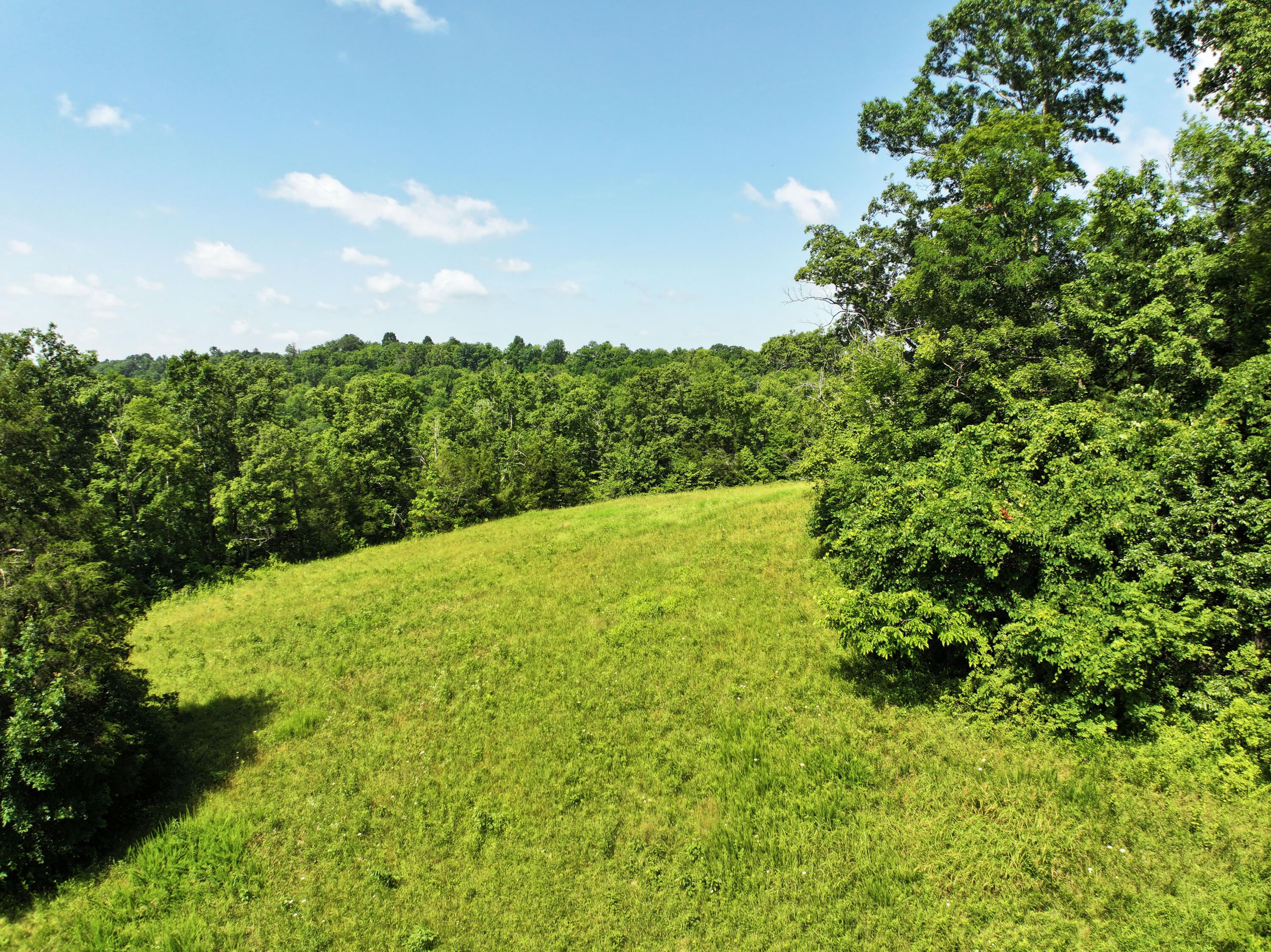 975 Red River Road Irvine, KY 40336 - Photo 67 of 71 The open field