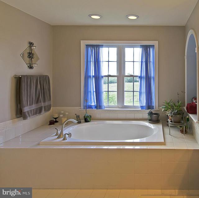133 Standpipe Road Culpeper, VA 22701 - Photo 18 of 30 Bath (Master) Soaking Tub