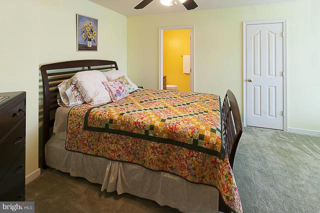 133 Standpipe Road Culpeper, VA 22701 - Photo 19 of 30 Bedroom 2 Suite with Full Bath