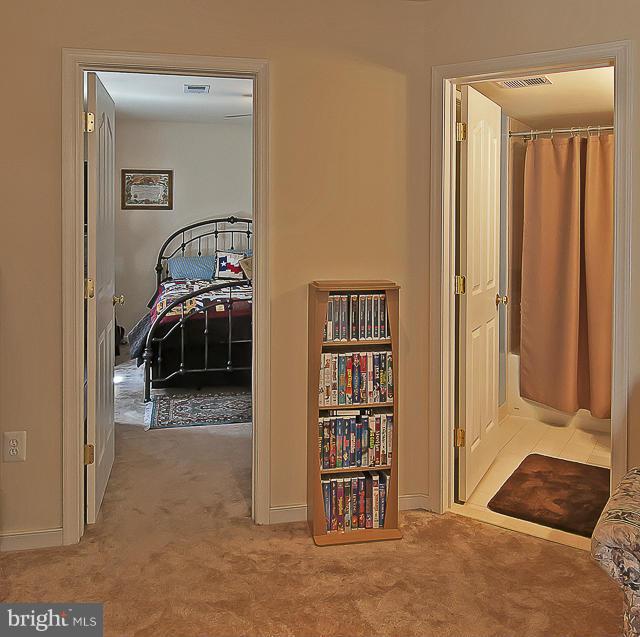133 Standpipe Road Culpeper, VA 22701 - Photo 27 of 30 Basement Bedroom and Bathroom