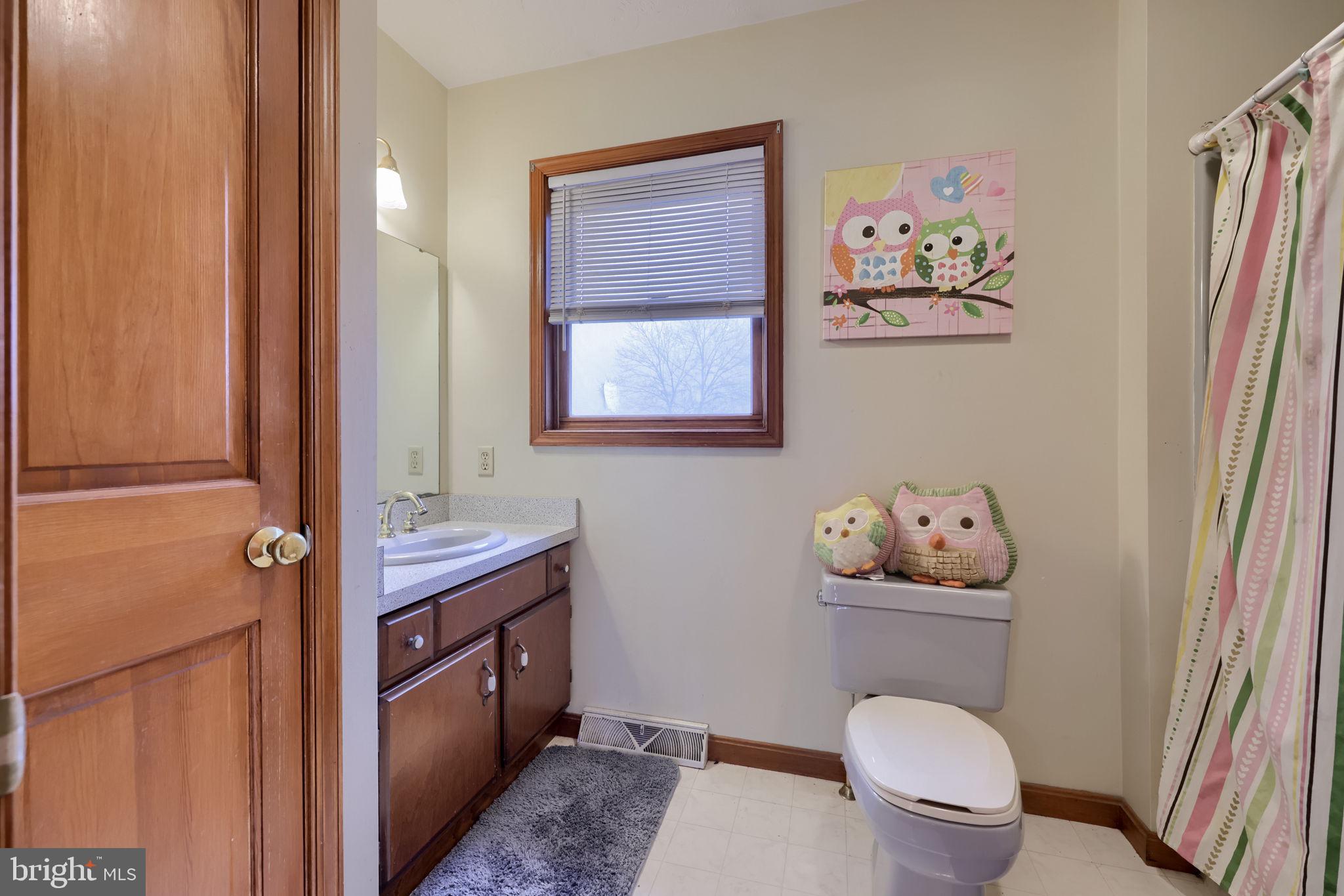 180 Springvale Road Red Lion, PA 17356 - Photo 30 of 70 a bathroom with a toilet a sink and a mirror