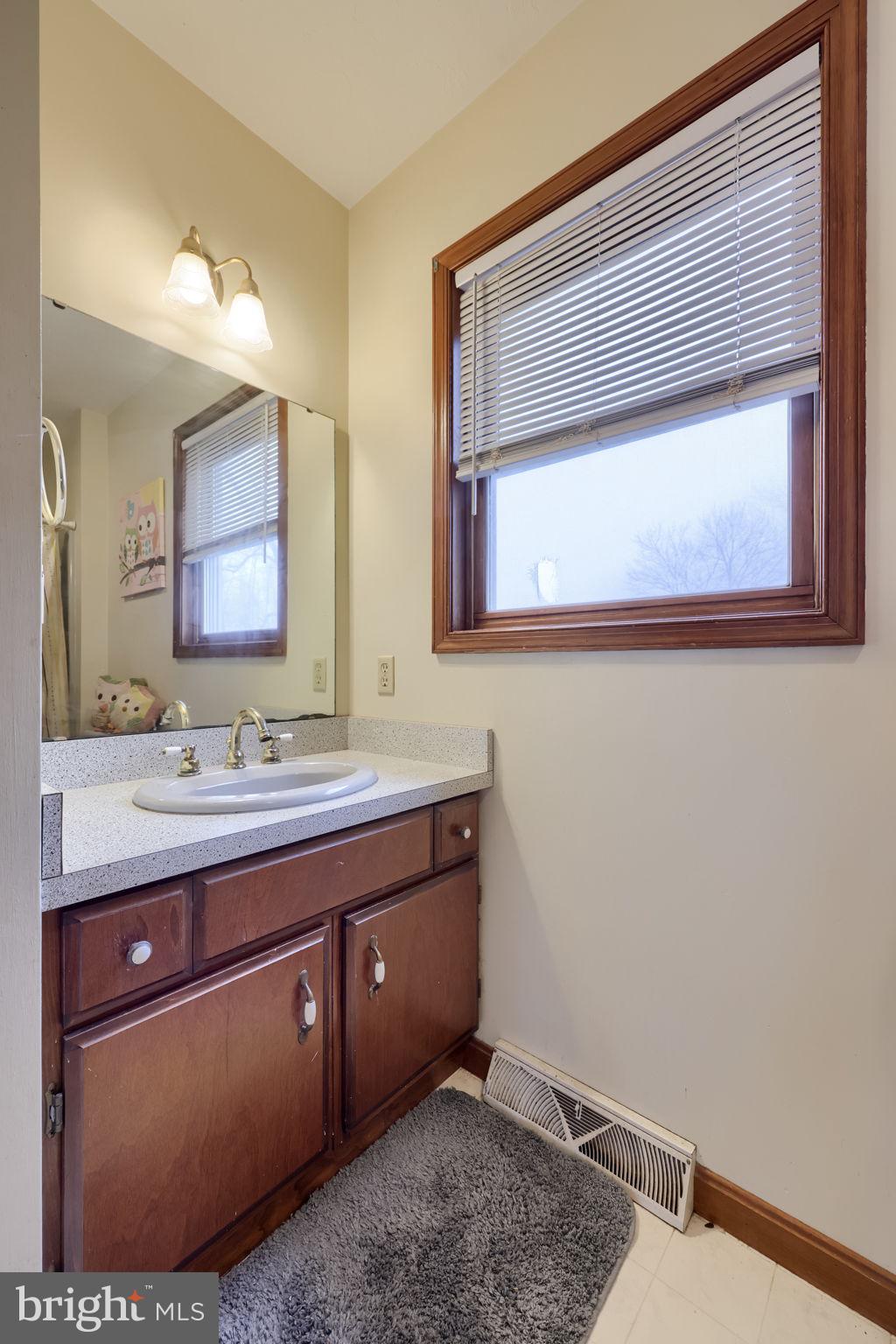180 Springvale Road Red Lion, PA 17356 - Photo 31 of 70 a bathroom with a sink and a mirror
