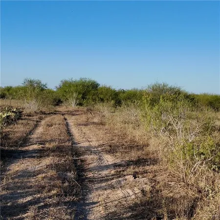 a view of a field with an ocean