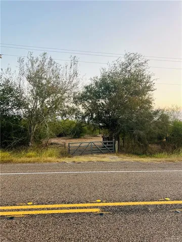 a view of a yard with large trees