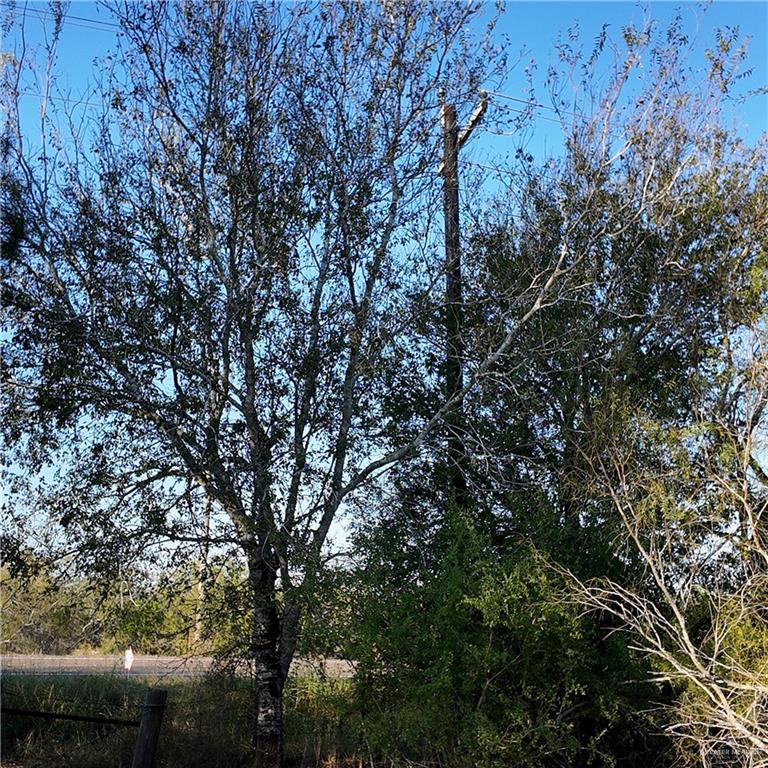 0 Fm 755 Road Encino, TX 78353 - Photo 5 of 11 a view of forest