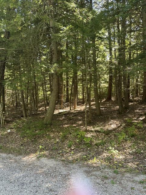 Lot 30 Colonial Circle Harrison, ME 04040 - Photo 3 of 5 Colonial Circle 1