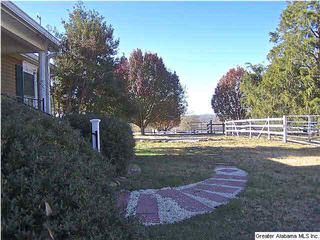 213 Lake Road Oneonta, AL 35121 - Photo 26 of 32