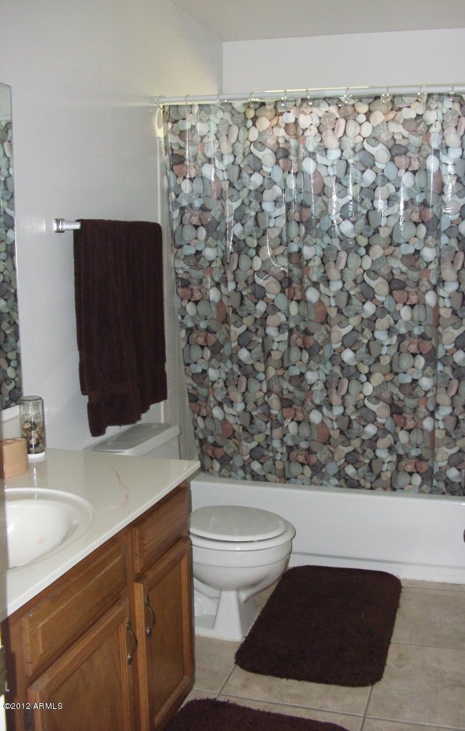 601 East Appaloosa Road Gilbert, AZ 85296 - Photo 7 of 8 Another Bath