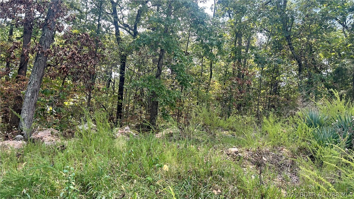 Ozark Trail Road Lincoln, MO 65338 - Photo 2 of 6 Gallery Image 2