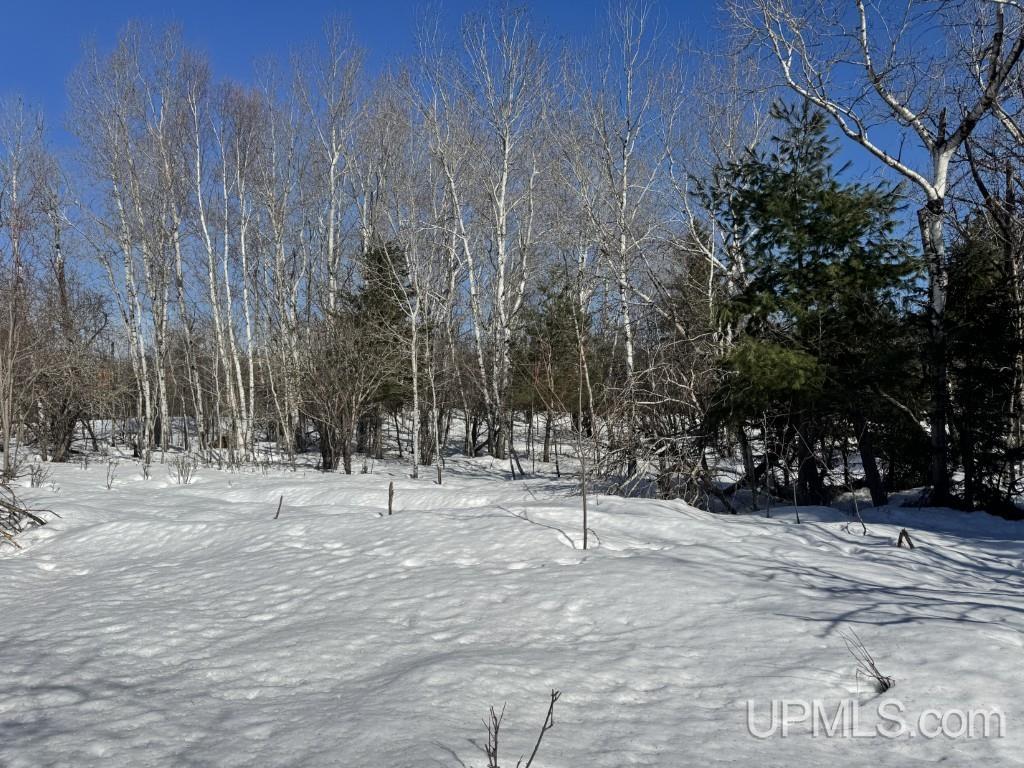 Tbd Bellaire Road Baraga, MI 49908 - Photo 9 of 20