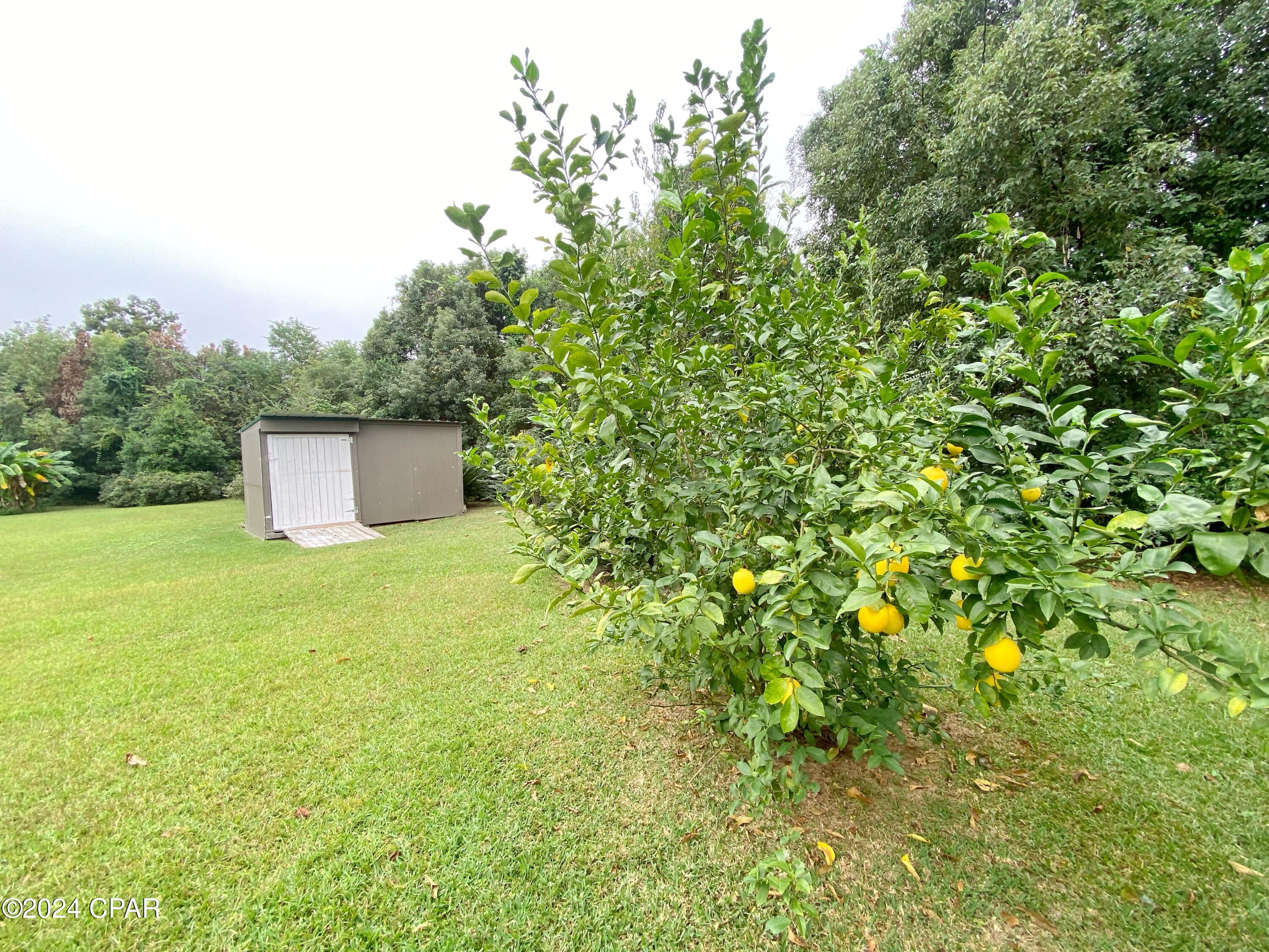 2936 Russ Street Marianna, FL 32446 - Photo 49 of 64