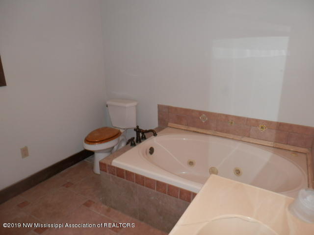 2719 South Slayden Road Lamar, MS 38642 - Photo 12 of 19 Master bath