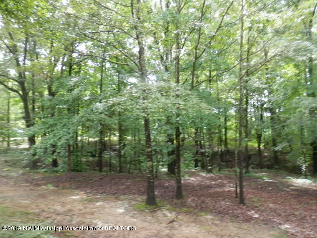 2719 South Slayden Road Lamar, MS 38642 - Photo 18 of 19 P6077348